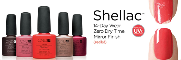 cndshellac002